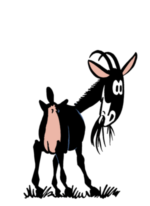 Biquette