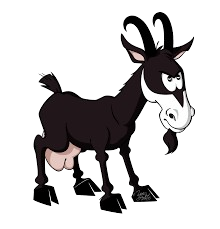 Biquette